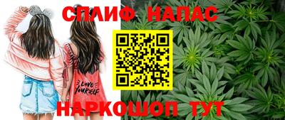 мдма Гусев